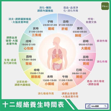 中醫時辰表|永遠不退流行的12時辰經絡養生法！